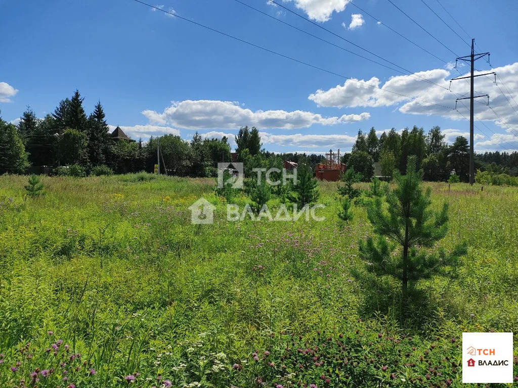 Богородский городской округ, Ногинск, Ново-Богородская улица,  земля ... - Фото 4