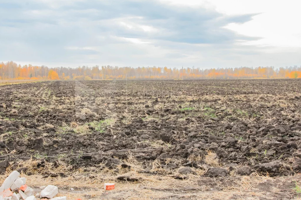 Продажа участка, Горьковка, Тюменский район, Тюменский р-н - Фото 13