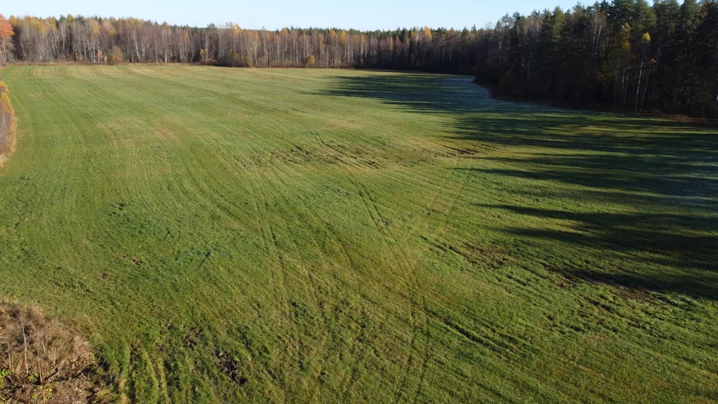 Продажа участка, Правдино, Выборгский район - Фото 17