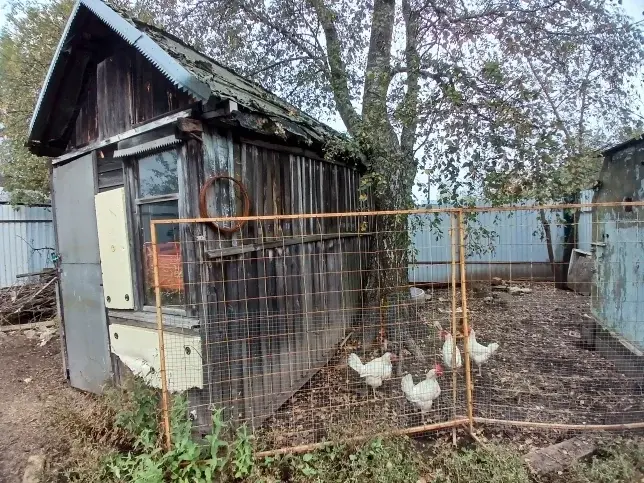 Продаю дом в Гарь-Покровском - Фото 13