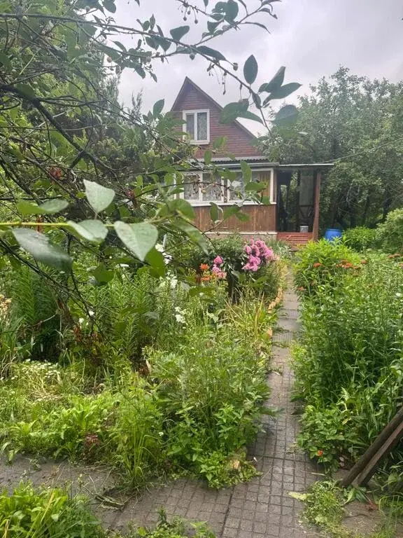Продается дом-дача в городе - Фото 1
