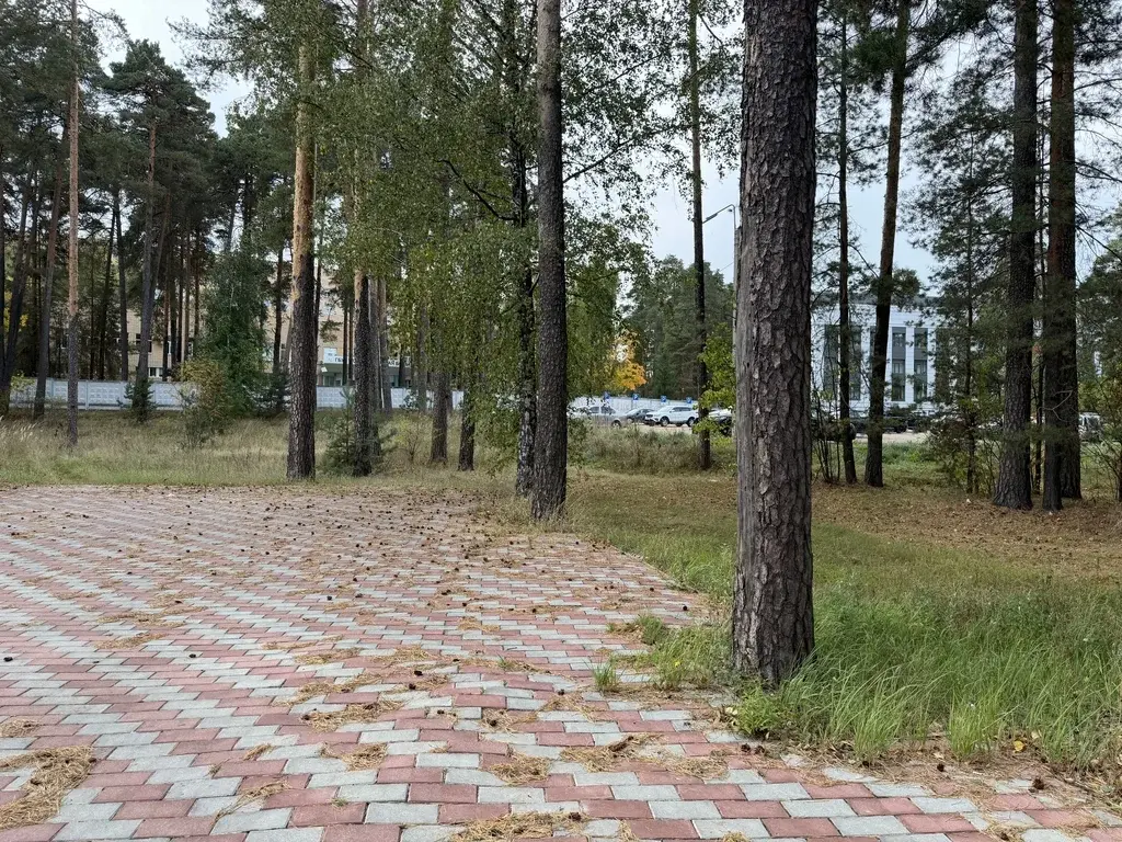 Дом на ул. Жукова Гора - Фото 10
