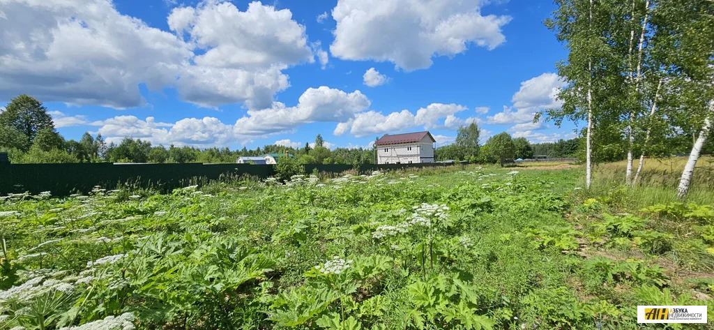 Продажа участка, Хомяки, Одинцовский район - Фото 1