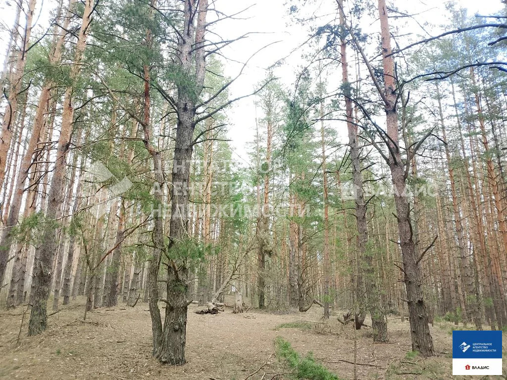 Продажа дома, Поляны, Рязанский район, территория СНТ Ветеран - Фото 4
