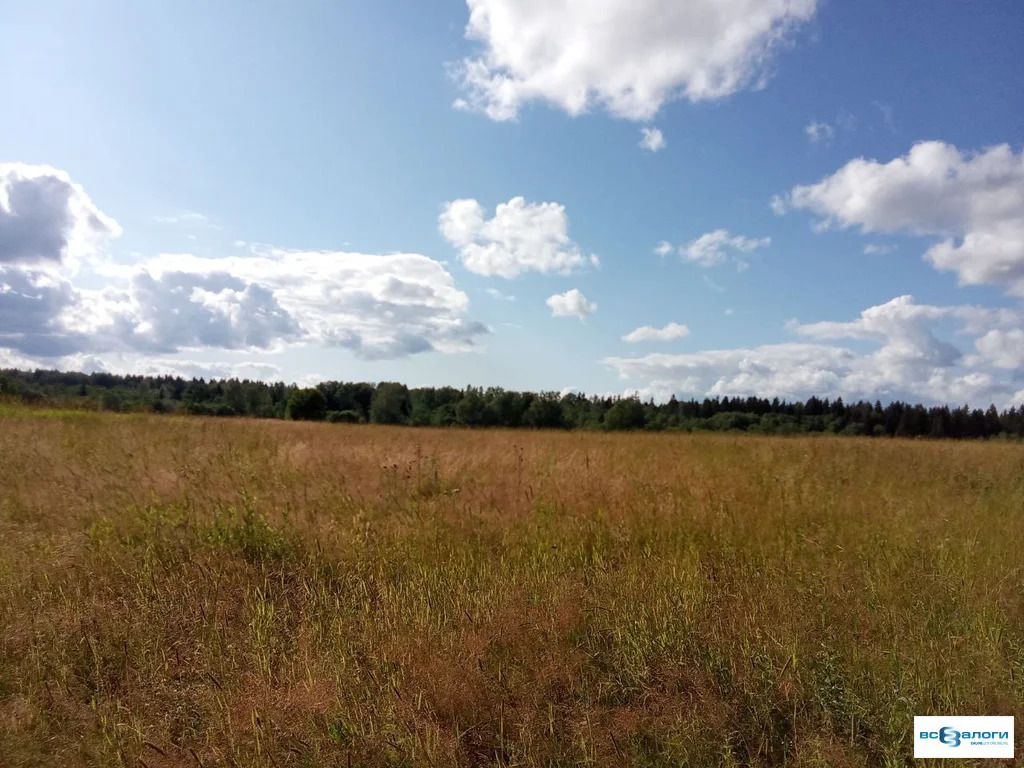 Продажа готового бизнеса, Шаховская, Шаховской район, Московская обл. - Фото 0