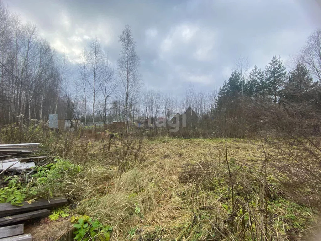 Продажа участка, Богородский г. о. - Фото 6