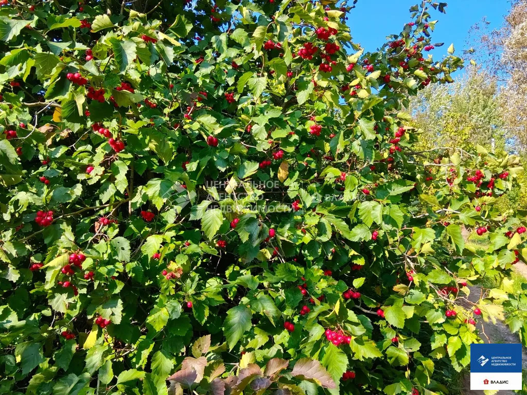 Продажа дома, Степановка, Спасский район, Соловьиная улица - Фото 19
