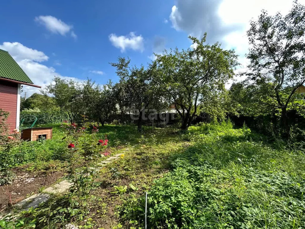 тсн березки