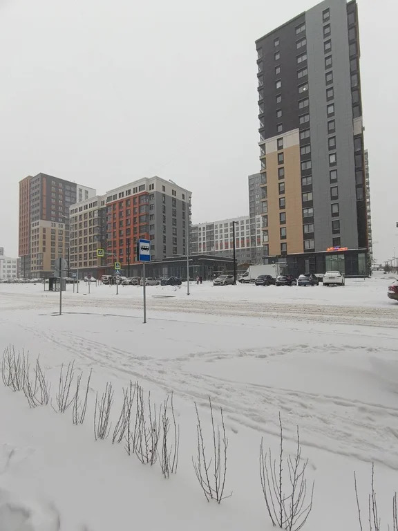 городской округ Пермь, Пермь, Серебристая улица, д.7, 3-комнатная . - Фото 1