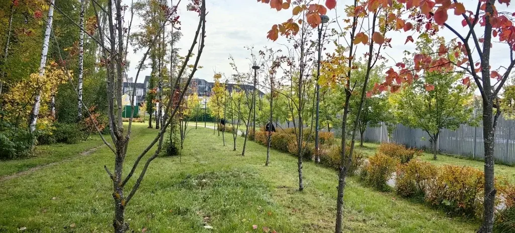 3-ка, Москва, Долгопрудная аллея, 14к4 - Фото 29