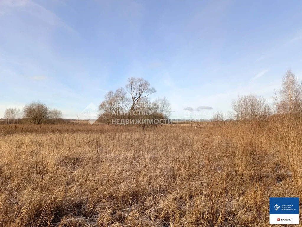 Продажа участка, Житово, Рыбновский район - Фото 7