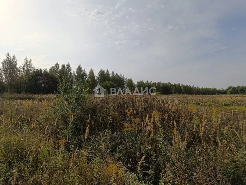 городской округ Владимир, Владимир, Ленинский район, территория ... - Фото 1