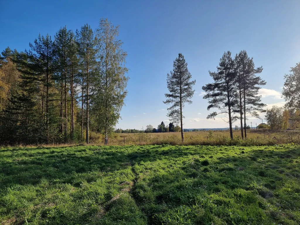 Продажа участка, Солнечное, Приозерский район - Фото 14