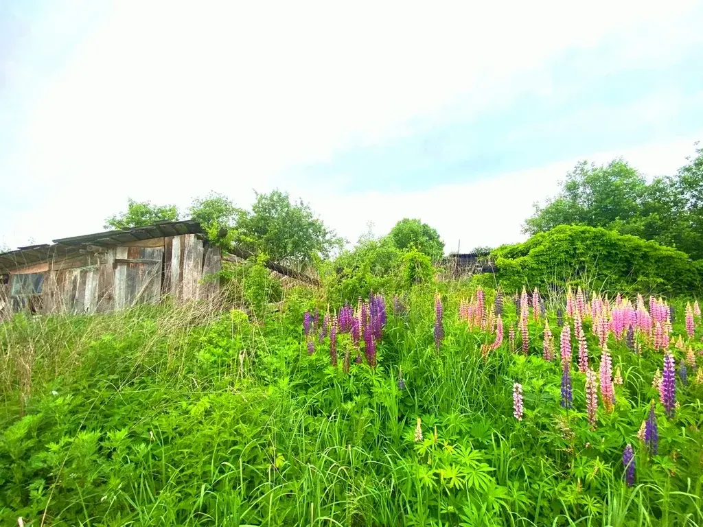 Участок в деревне Якушевичи - Фото 4