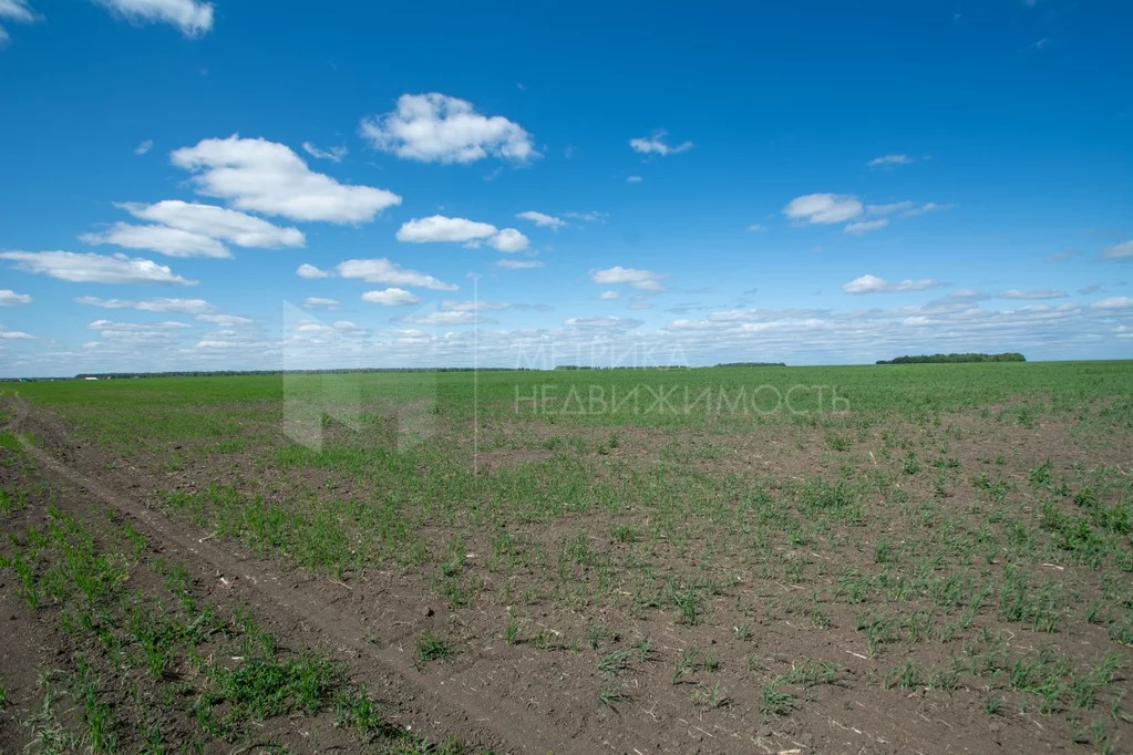 Продажа земельного участка, Тюменский район, Тюменский р-н - Фото 0