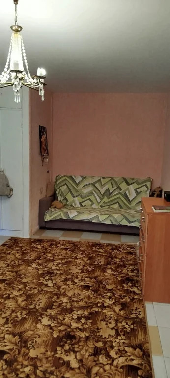 Продажа квартиры, Новосибирск, ул. Петухова - Фото 4