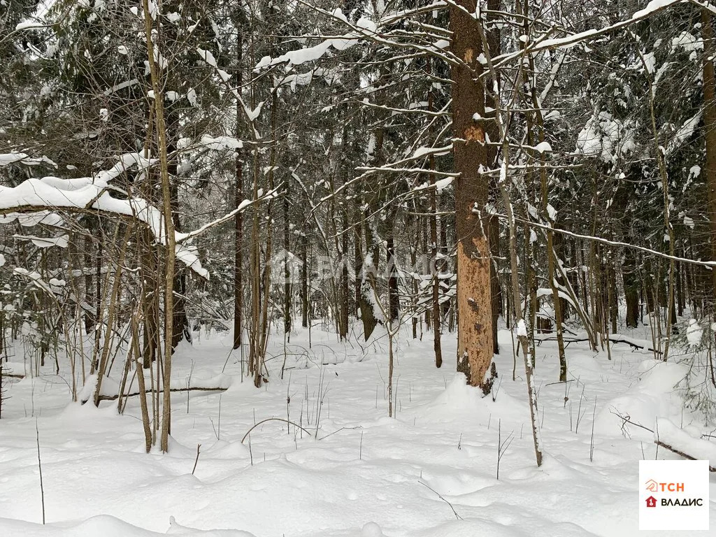 Продажа участка, Сазонки, Дмитровский район - Фото 4