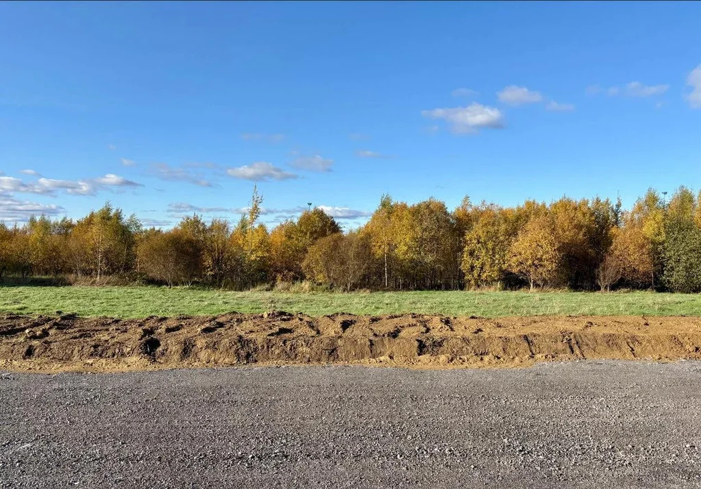 Развивайте бизнес в сердце Александрийского парка! Участок 13.07 сот. - Фото 3