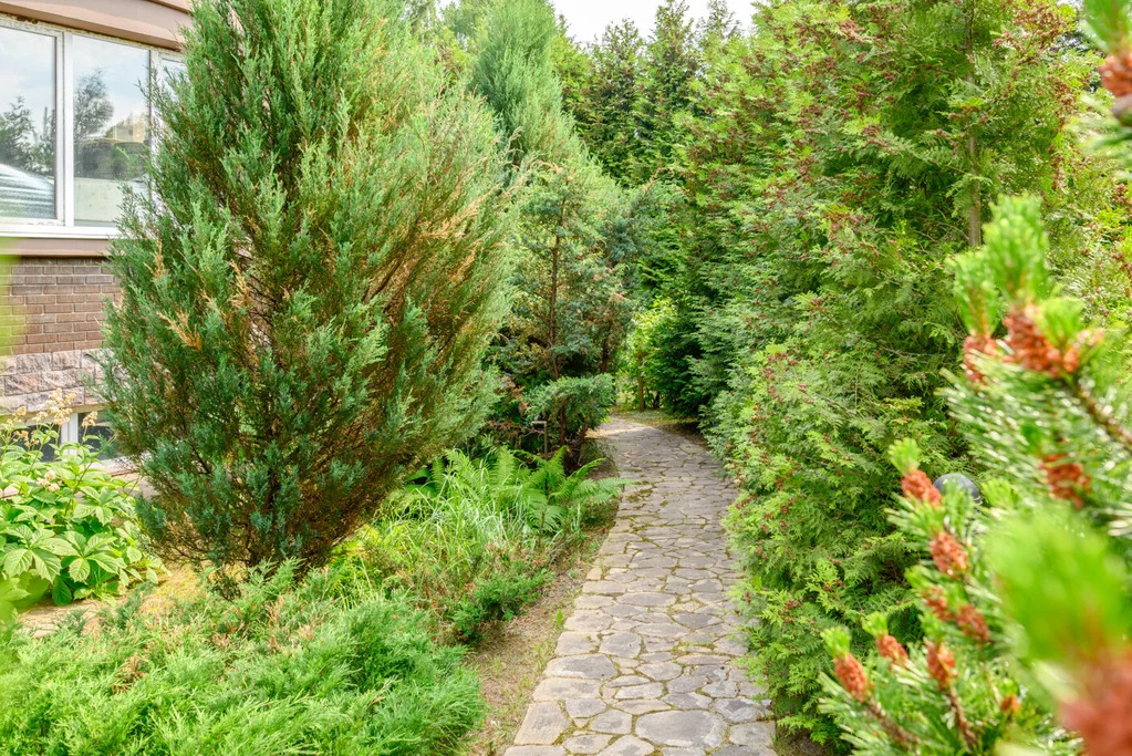 Продажа дома, Звенигород, ул. Садовая - Фото 4