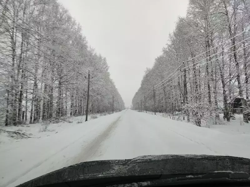 Земля ИЖС в д. Качка - Фото 1