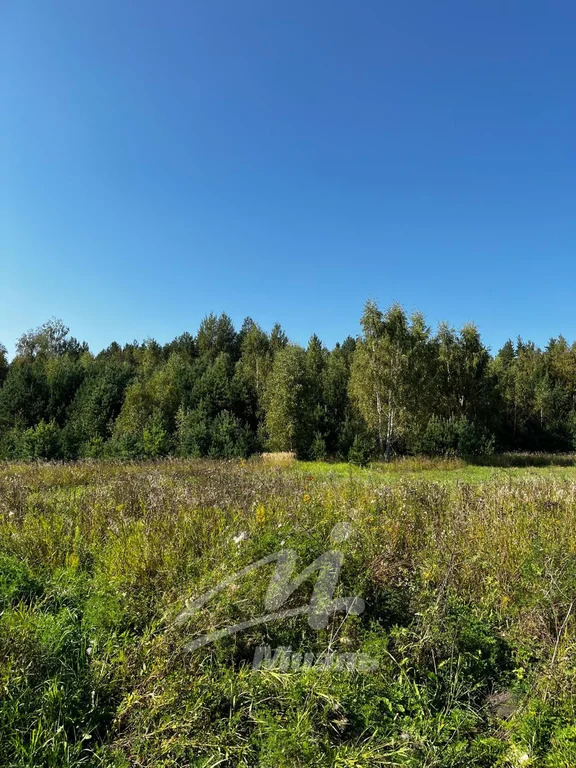 Продажа участка, Бисерово, Богородский г. о. - Фото 3