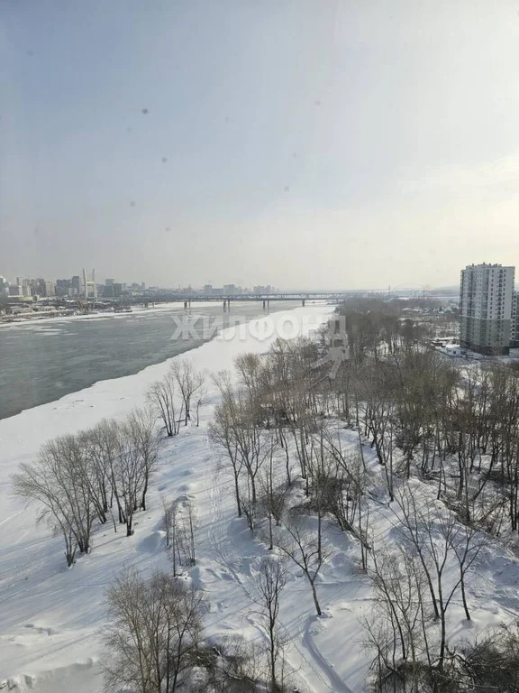 Продажа квартиры, Новосибирск, Ясный Берег - Фото 4