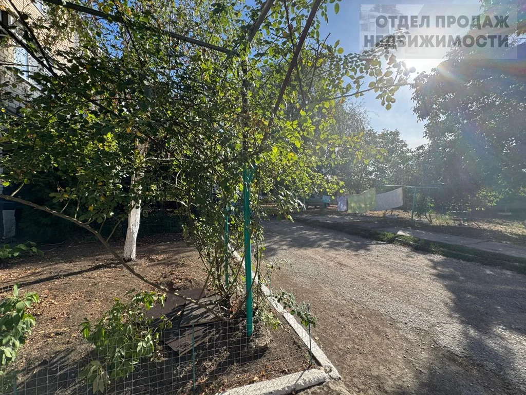 Квартира в тихом районе - Фото 15