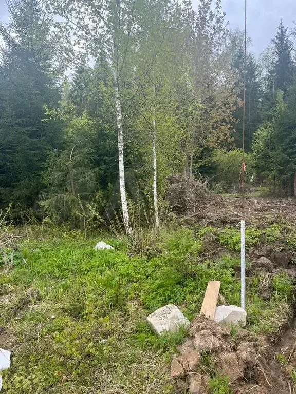 Участок 12 сот. (ИЖС) - Фото 1