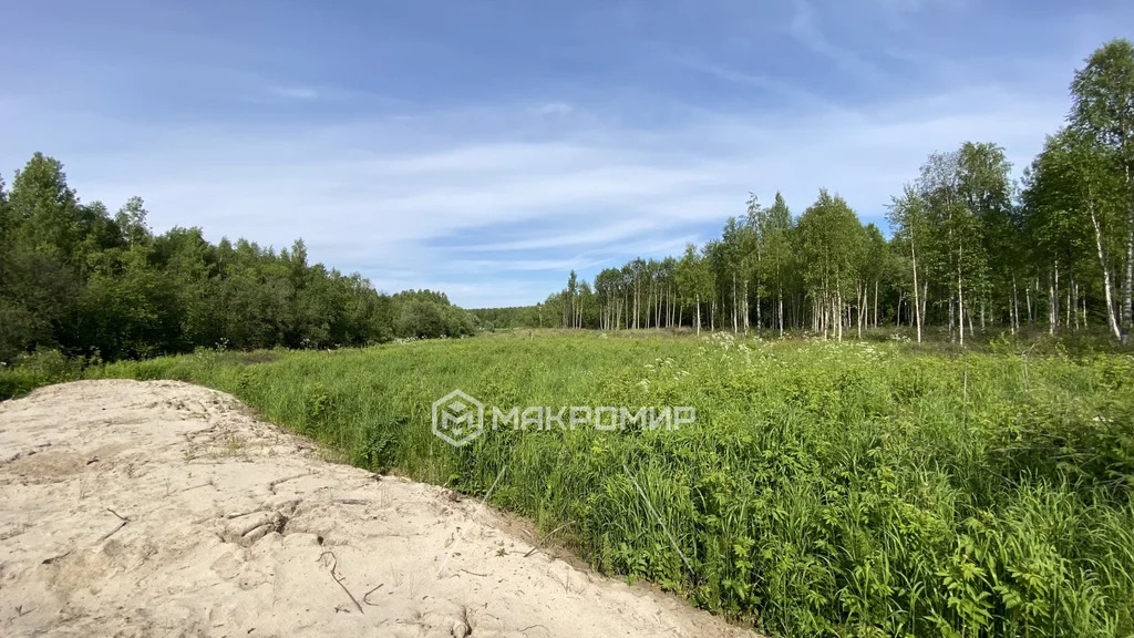 Продажа участка, Талаги, Приморский район - Фото 6