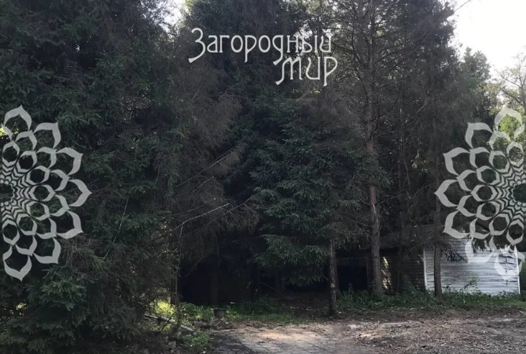 Продам участок, Новорижское шоссе, 25 км от МКАД - Фото 4