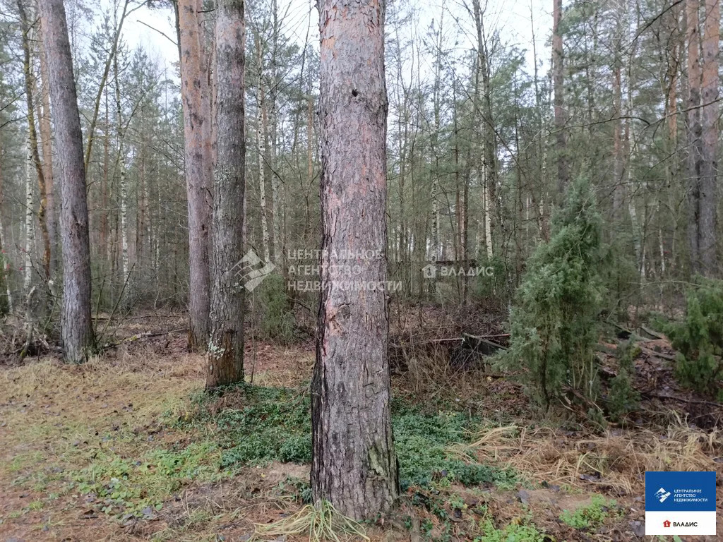 Продажа участка, Алеканово, Рязанский район - Фото 5