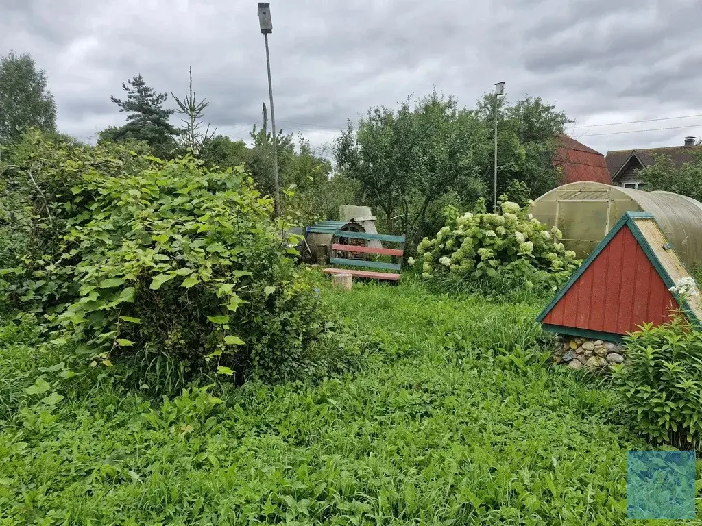 24,2 сотки ЛПХ в д. Редино - Фото 16