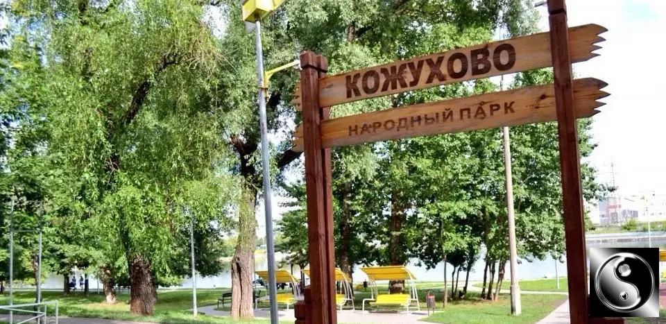Сдам комнату 59.0/22м ул. Трофимова, 2/1, Москва, ЮАО, р-н Даниловский - Фото 21