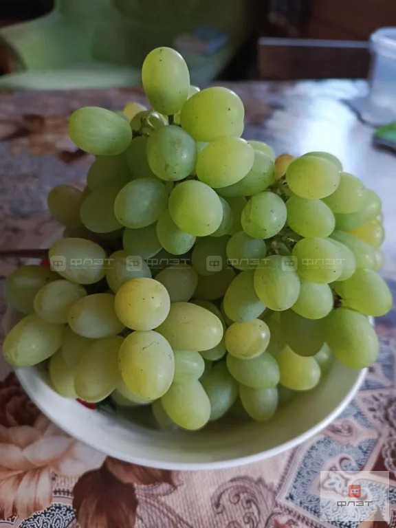 Продажа дома, Казань, тер. СНТ КГУ НПП им В.И.Ленина Лагерная - Фото 15