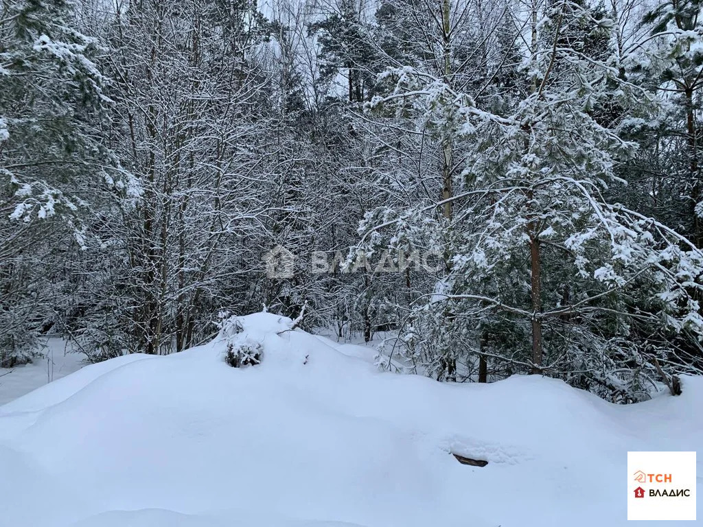 Продажа участка, Щелковский район - Фото 9