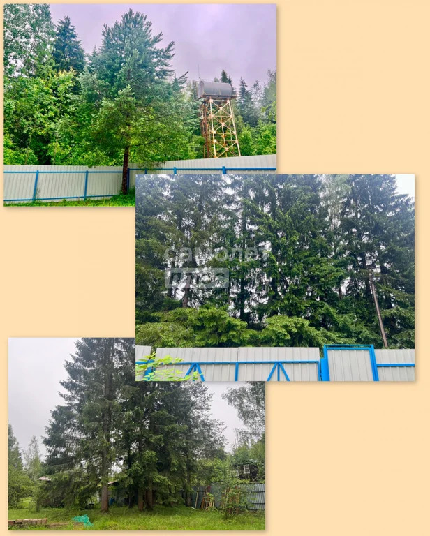 Продажа дома, Талдомский район - Фото 40