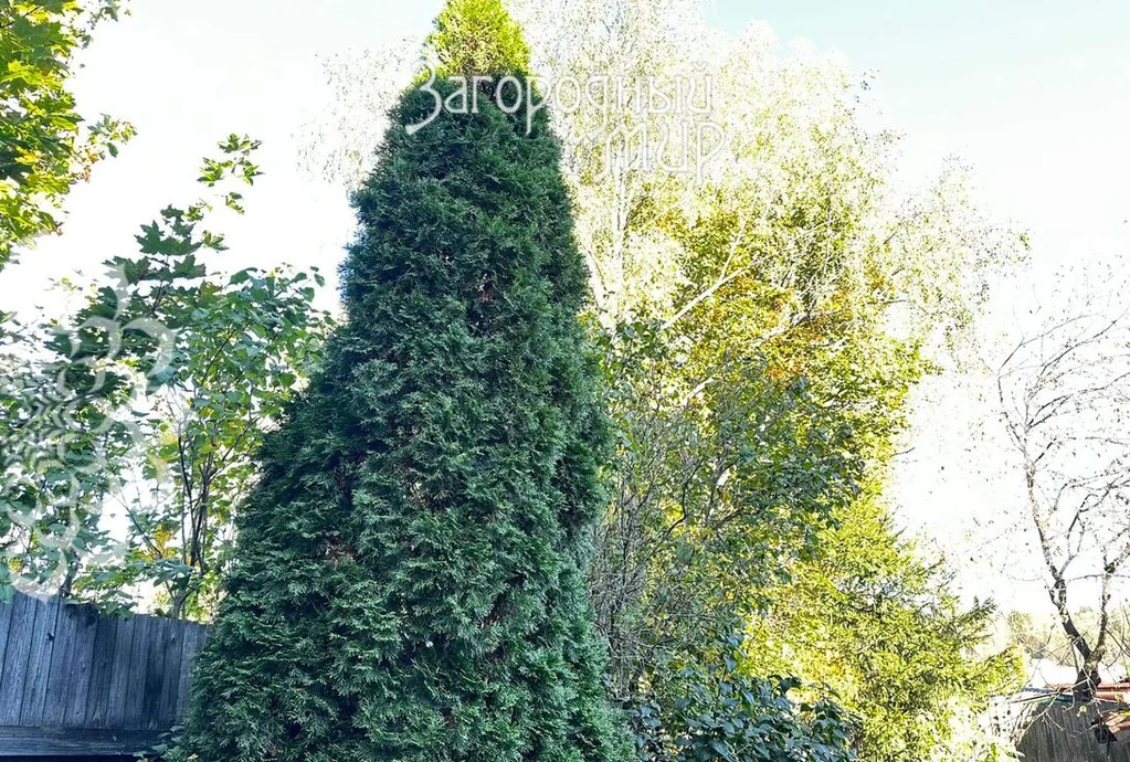 Продам дом, Волоколамское шоссе, 50 км от МКАД - Фото 29