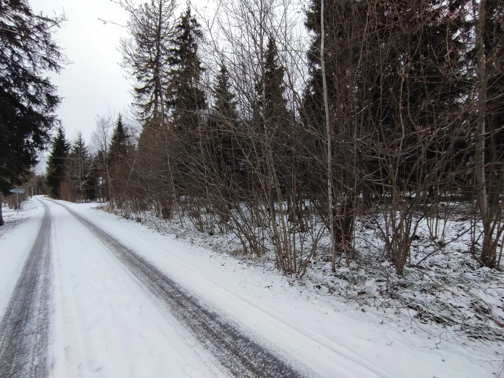 Продажа участка, НИИ Радио, Одинцовский район, Тыльная улица - Фото 6