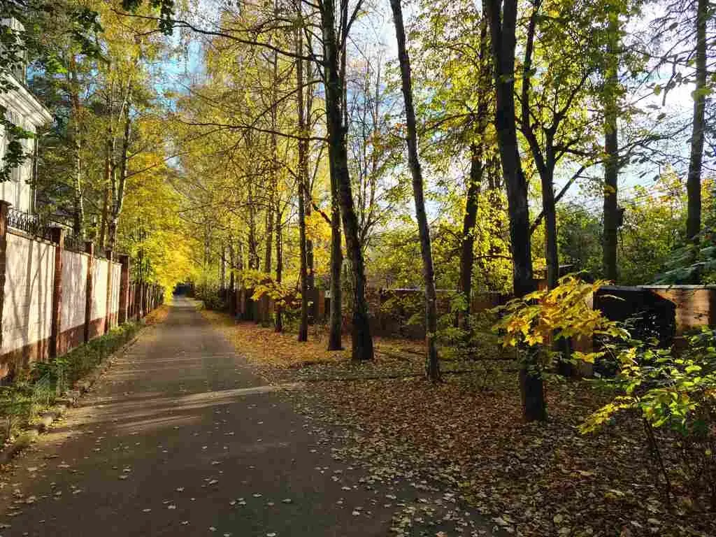 Рублево-Успенское ш. д. Барвиха ДПК Новь участок 15 соток - Фото 9