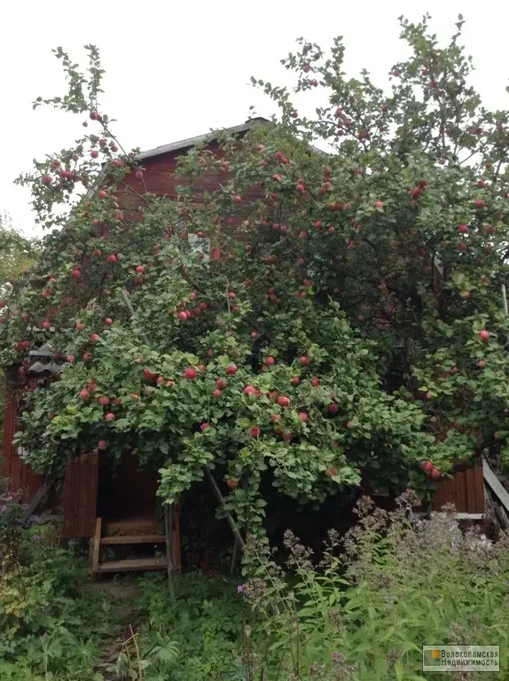 Брусовая дача в садовом товариществе «Кристал» 125 км от МКАД - Фото 29
