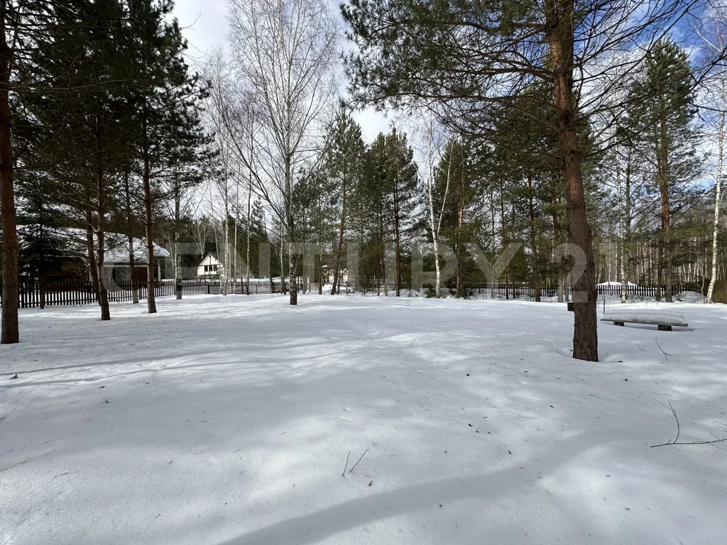 Продажа участка, Веткино (Коллонтай), Малоярославецкий район, Новая ... - Фото 3