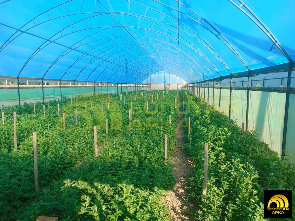 Продажа готового бизнеса, Краснооктябрьский, Абинский район, ул. ... - Фото 9