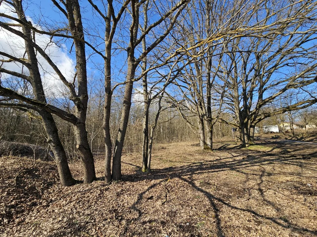 Продажа участка, Абинский район - Фото 6