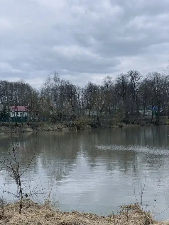 Продам участок Счастье совсем бесплатно Тульская область, д. Сетка - Фото 6