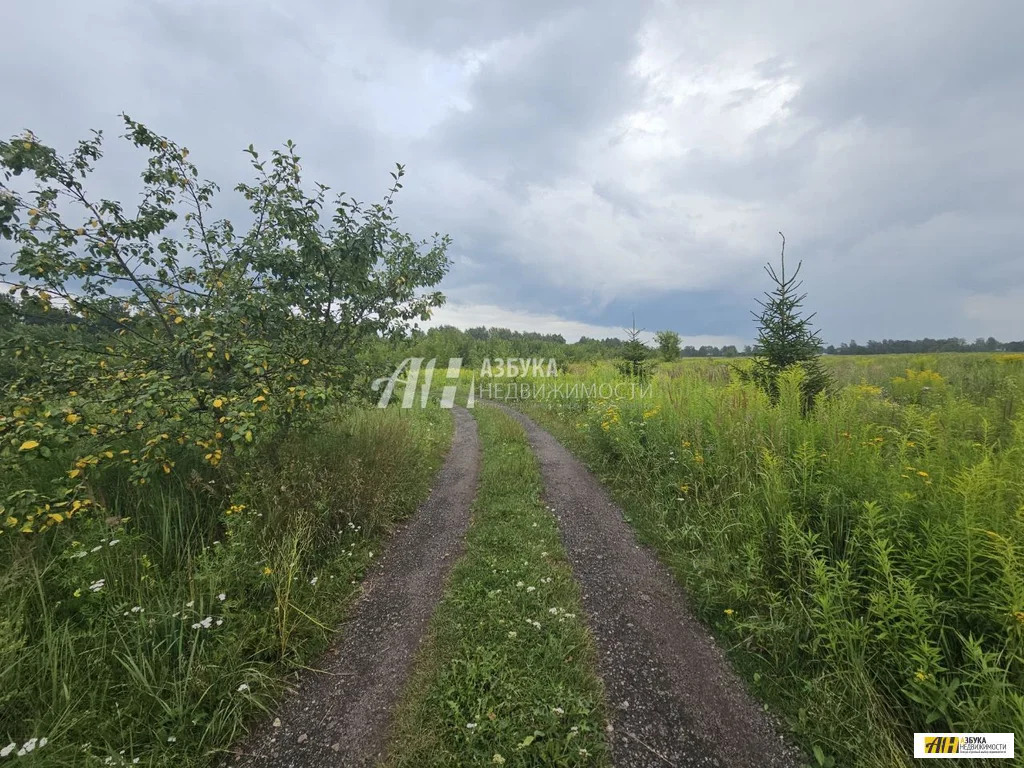 Продажа участка, Старая Купавна, Богородский г. о. - Фото 11