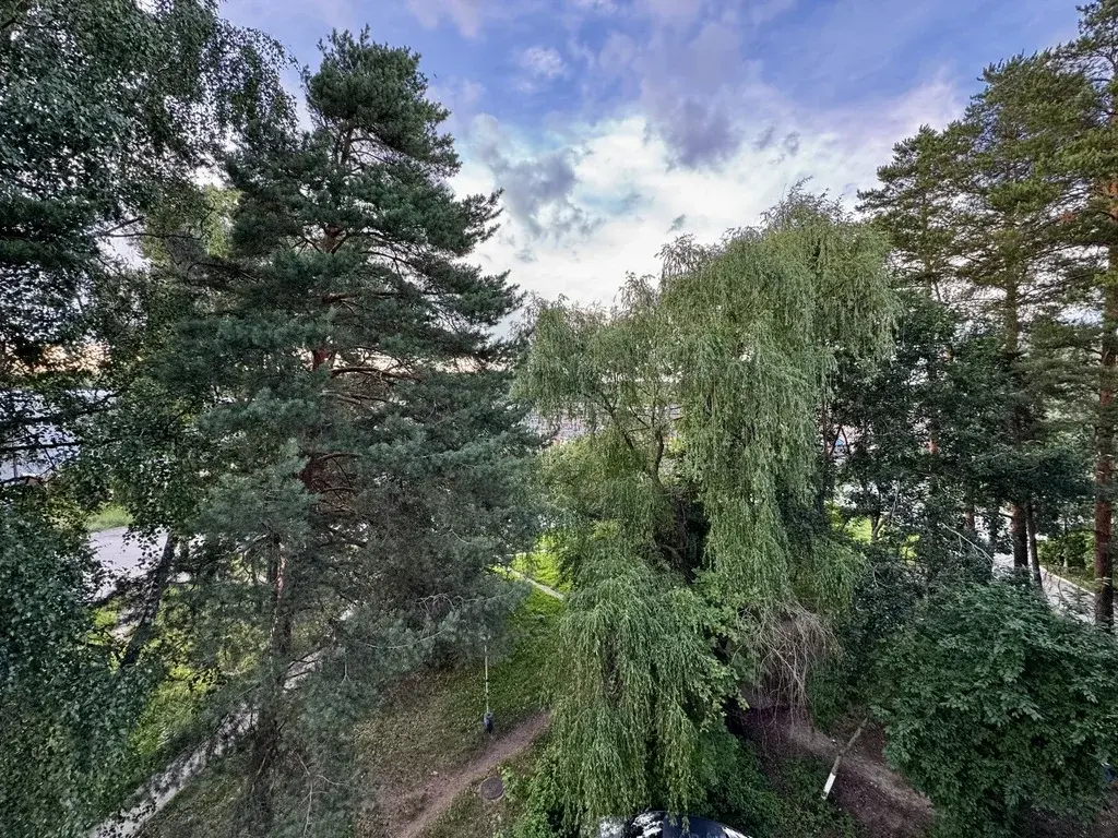 1-к ул.Молодежная, дом 10 - Фото 11
