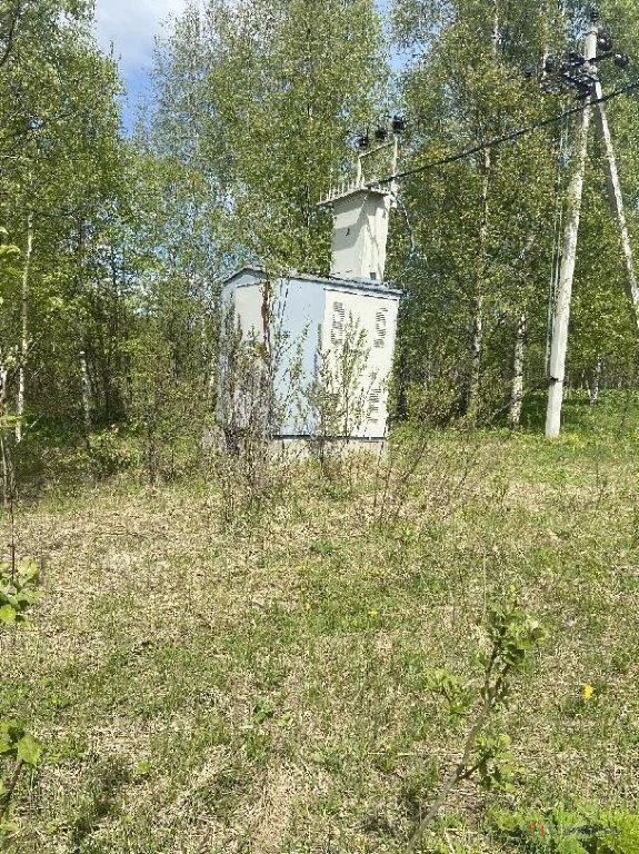 Продажа участка, Большое Пальцино, Переславский район - Фото 1