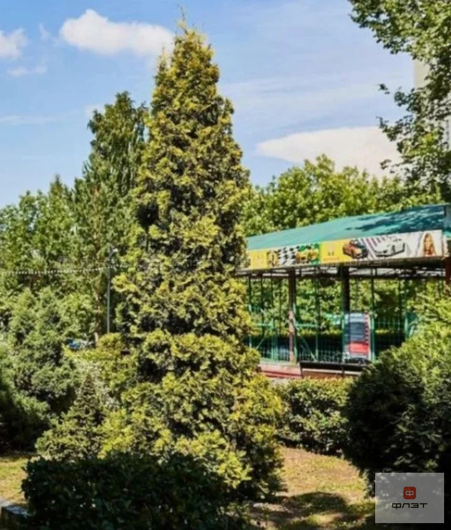 Продажа участка, Куюки, Пестречинский район, 11-й квартал - Фото 5