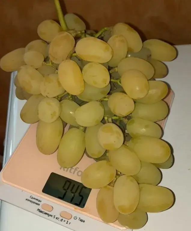 Дом в деревне Тимохино - Фото 32