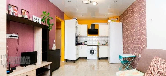 плевицкая курск евродвушка. плевицкая квартиры студия. плевицкая курск евродвушка. евродвушка курск. плевицкая евродвушка.